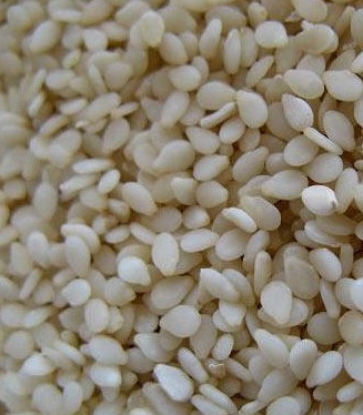 Hulled Sesame Seeds Manufacturer Supplier Wholesale Exporter Importer Buyer Trader Retailer in Kutch Gujarat India